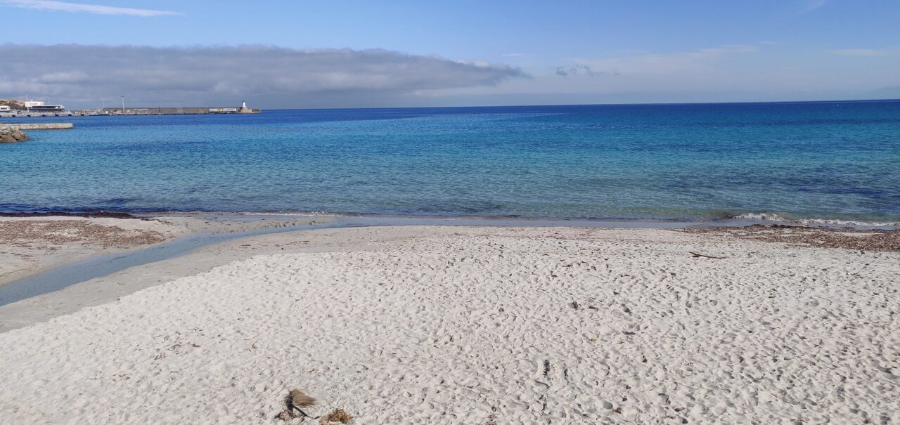 Corse